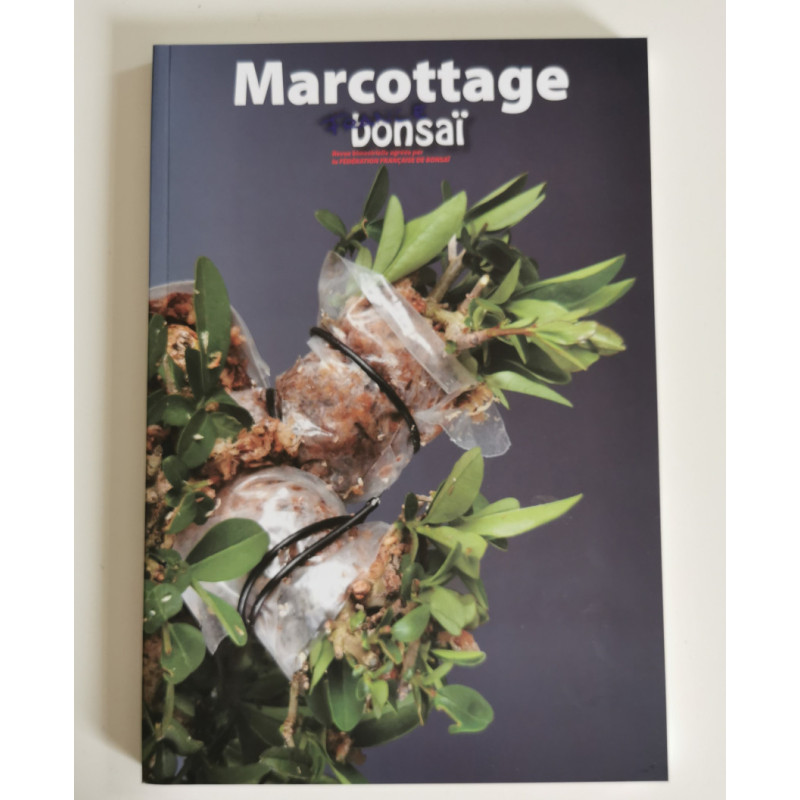 France Bonsai N°145  -  Le marcottage