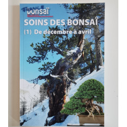 France Bonsai - Soins des Bonsai de décembre à avril