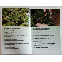 France Bonsai N°116 La taille des bonsai volume 3