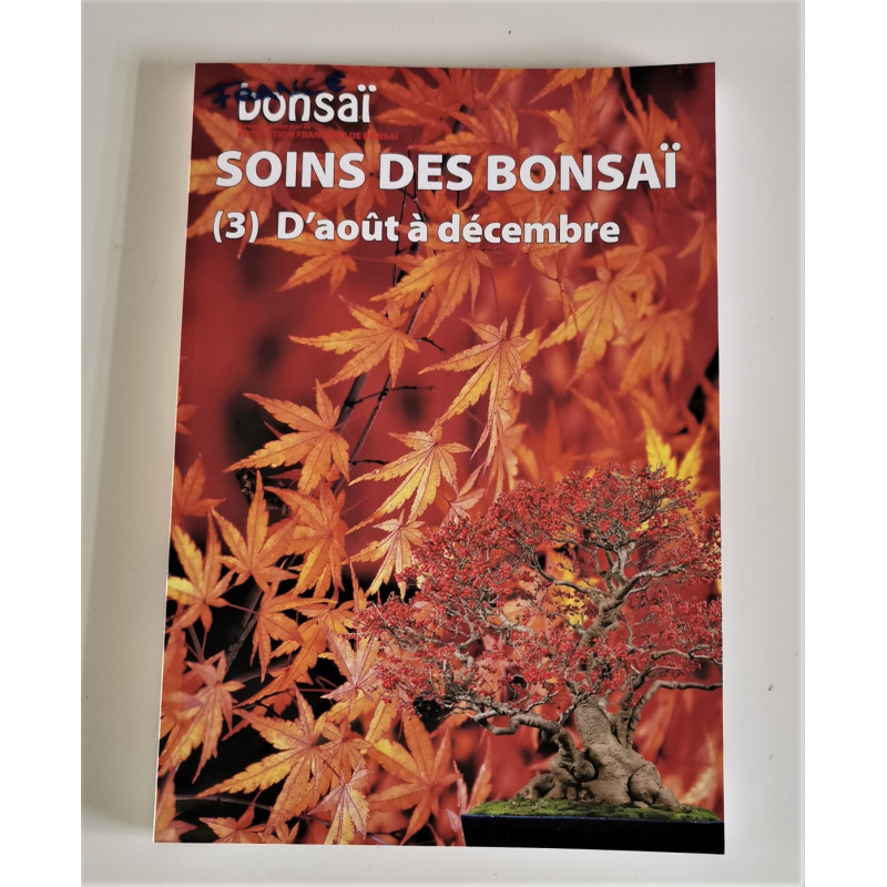France Bonsai - Soins des Bonsai 3 d'aout à décembre