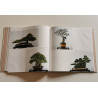 9eme international bonsai and suiseki exhibition