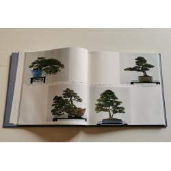 8eme international bonsai and suiseki exhibition