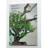 France Bonsai N°111 -  La taille des bonsai (2)